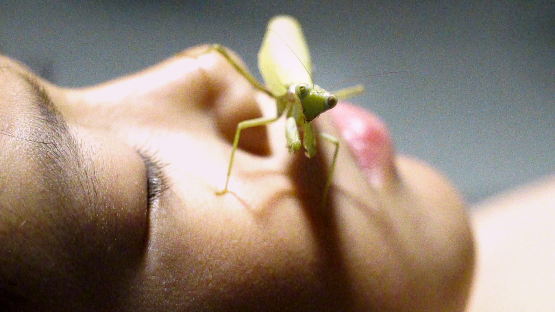 2024_masahito_koshinaka_mantis11